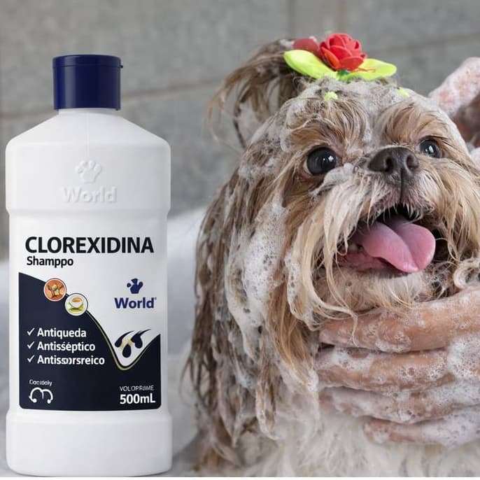 Shampoo Para Cachorro Clorexidina Pet 500ml Antisséptico e Antisseborreico