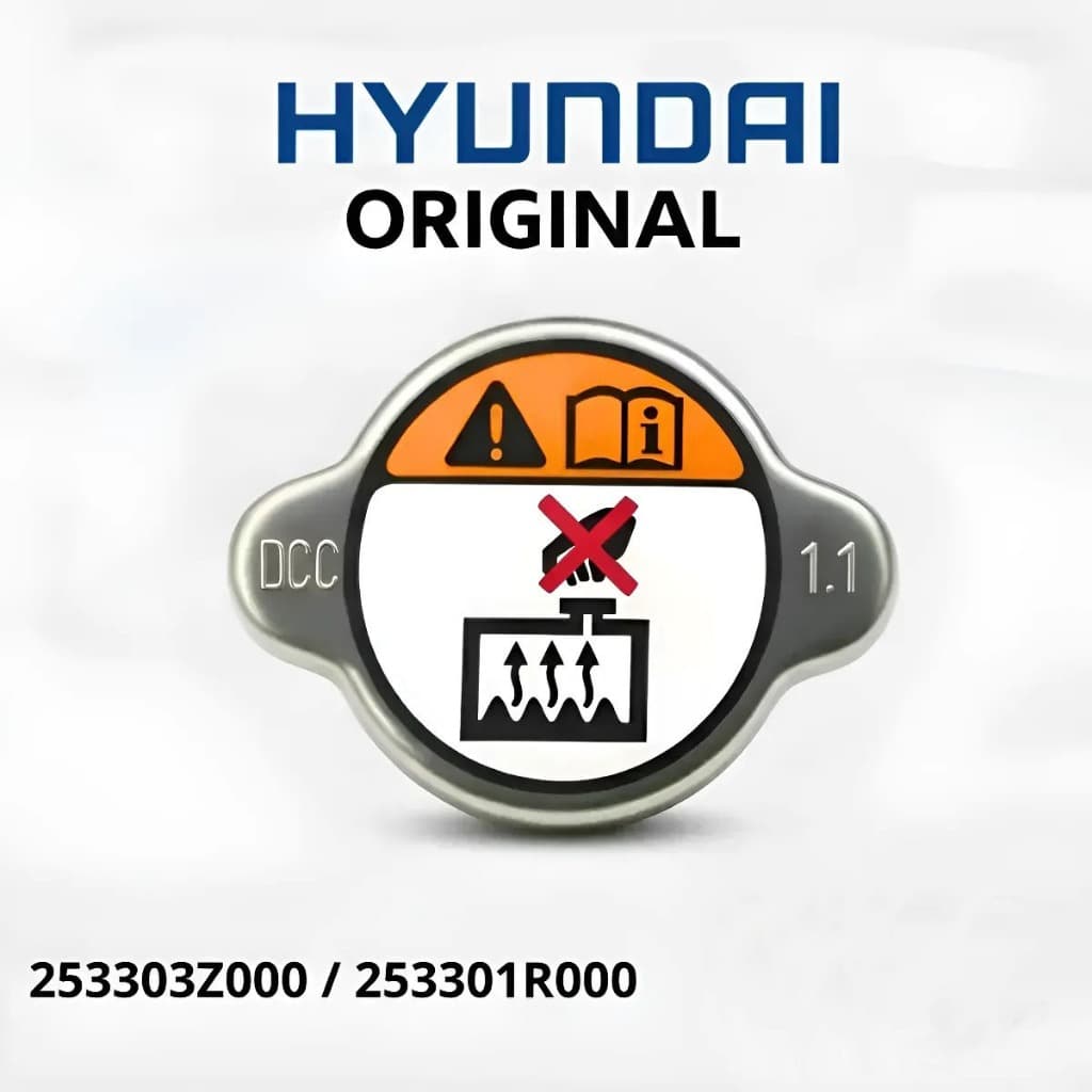 Tampa Radiador Original Hyundai Serve Em i30,Tucson, Azera, Sonata, ix35, Hb20,