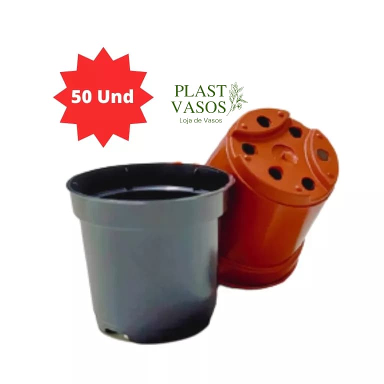 Kit 50 Vasos Pote Numero 6 Preto Suculentas Mini Plantas Cactos COR :
