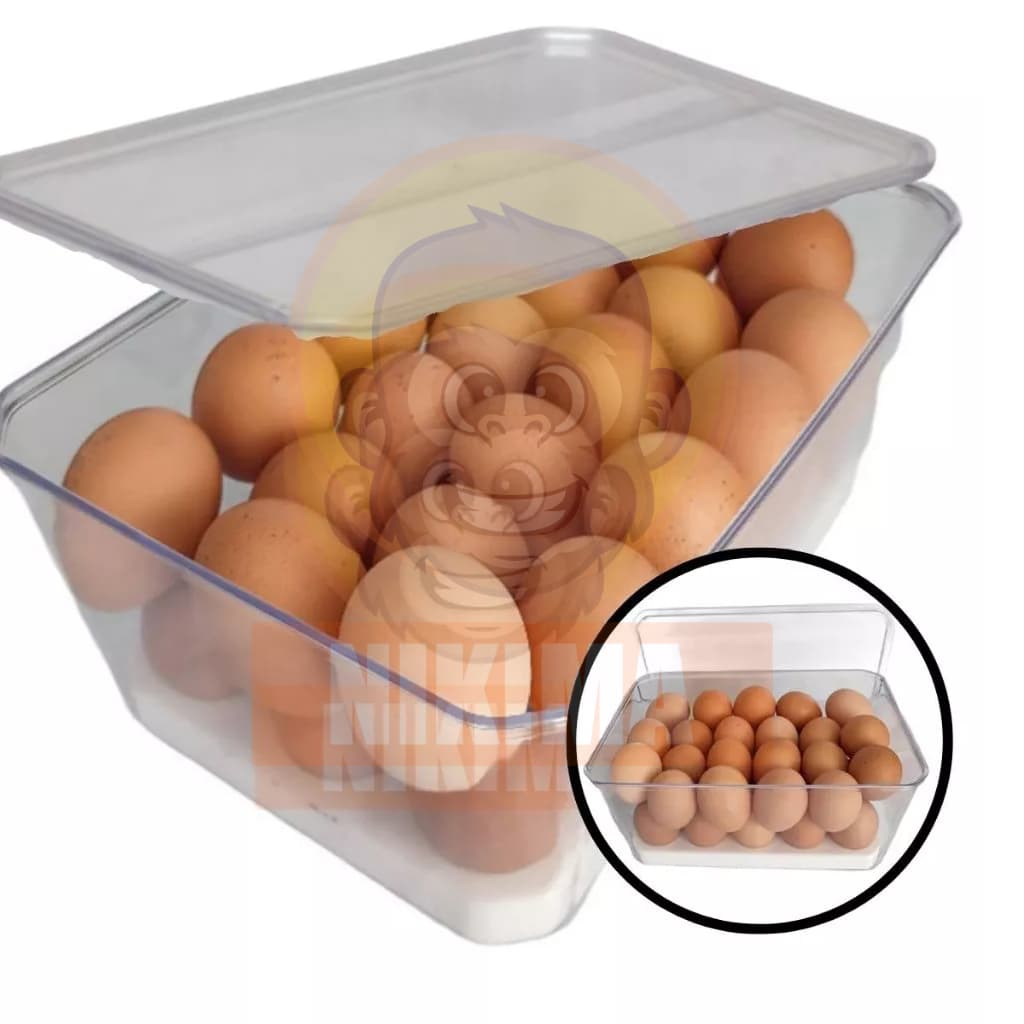 Porta Ovos 30un Organizador de Geladeira Com Tampa Cozinha Refrigerador Bandeja Acrílico