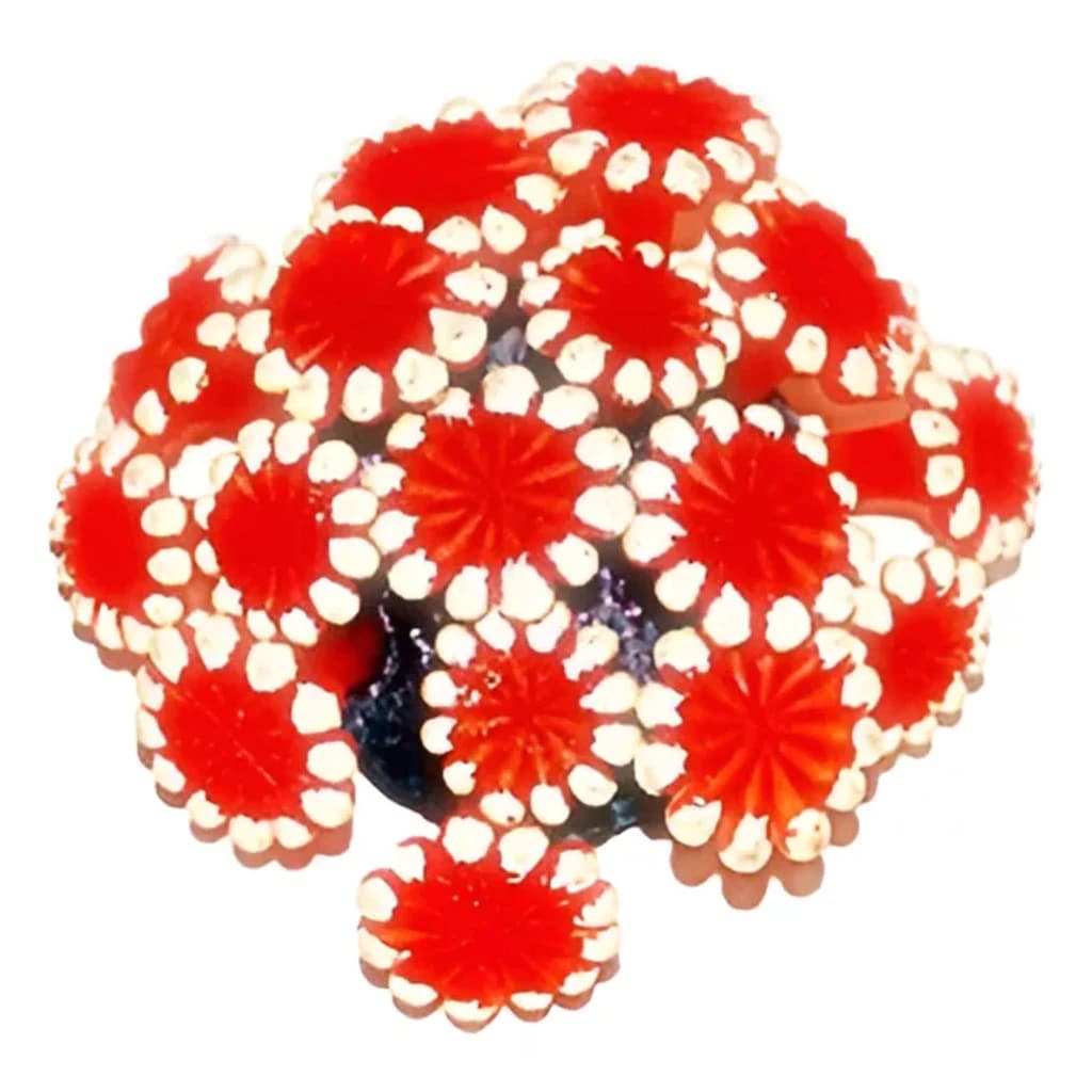 ENFEITE DE SILICONE SOMA CORAL ALVEOPORA VERMELHA 02