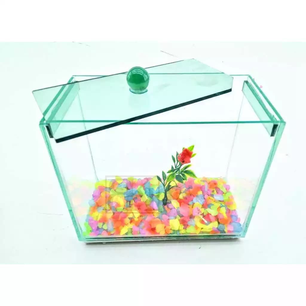 Aquário Beteira 17x9x14cm  betta Pedras e Plantas Artificial Decorado Tubular  peixes