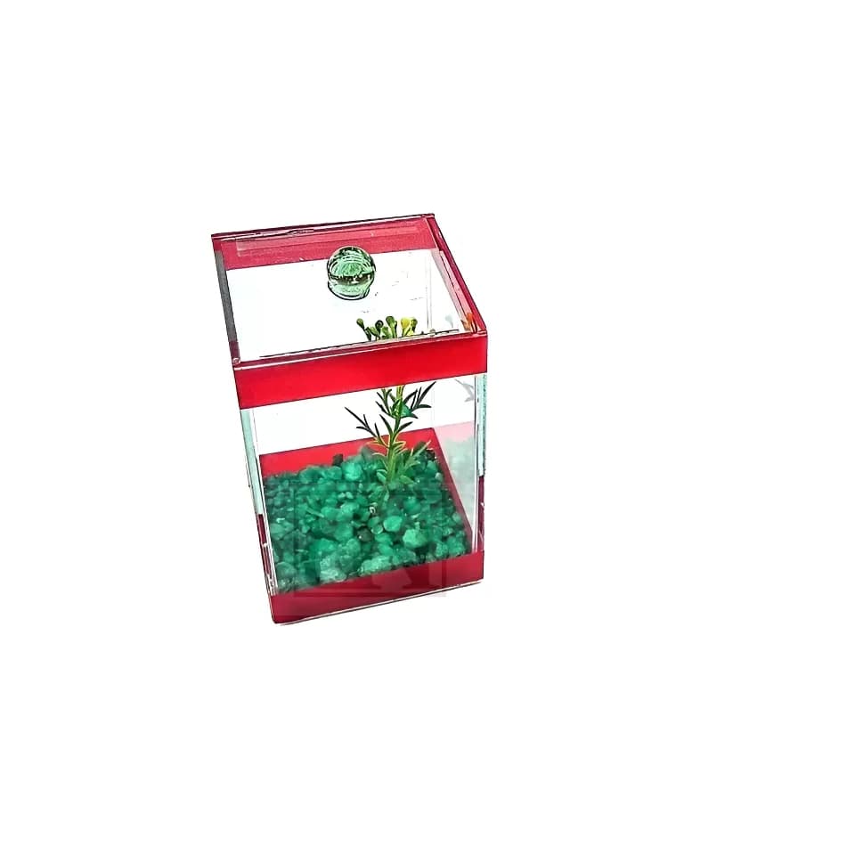 Aquário Beteira 10x10x15 cm Decorado C/ Enfeites Betas Peixes unidade
