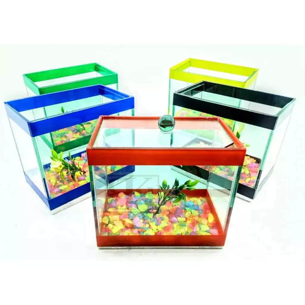 Aquário Beteira Tubular 15x9x13cm Decorado Retangular Peixe decoração ornamentais Bettas peixinho