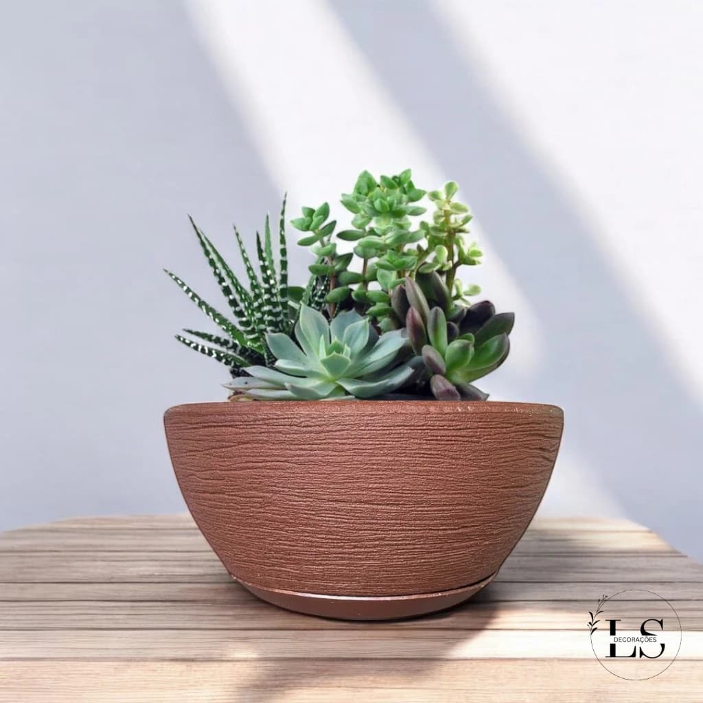 Vaso Planta Flor Bacia N°1 Rosas do Deserto, Cactos e Suculentas Com Prato Casa Sala Jardim Varanda