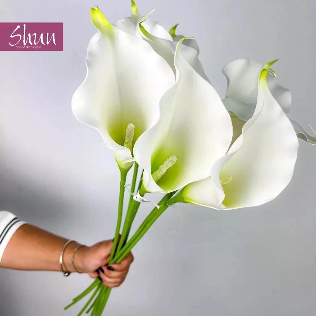Kit Copos de Leite Artificial Emborrachado Grande Toque Real para Decoração Arranjo, Casa, Casamento - HS800186