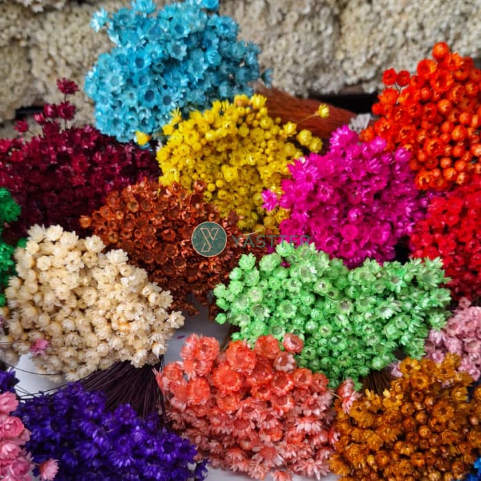 400 a 1.400 Flores Sempre-Viva Premium Secas/Desidratadas | Buquê e Decoração