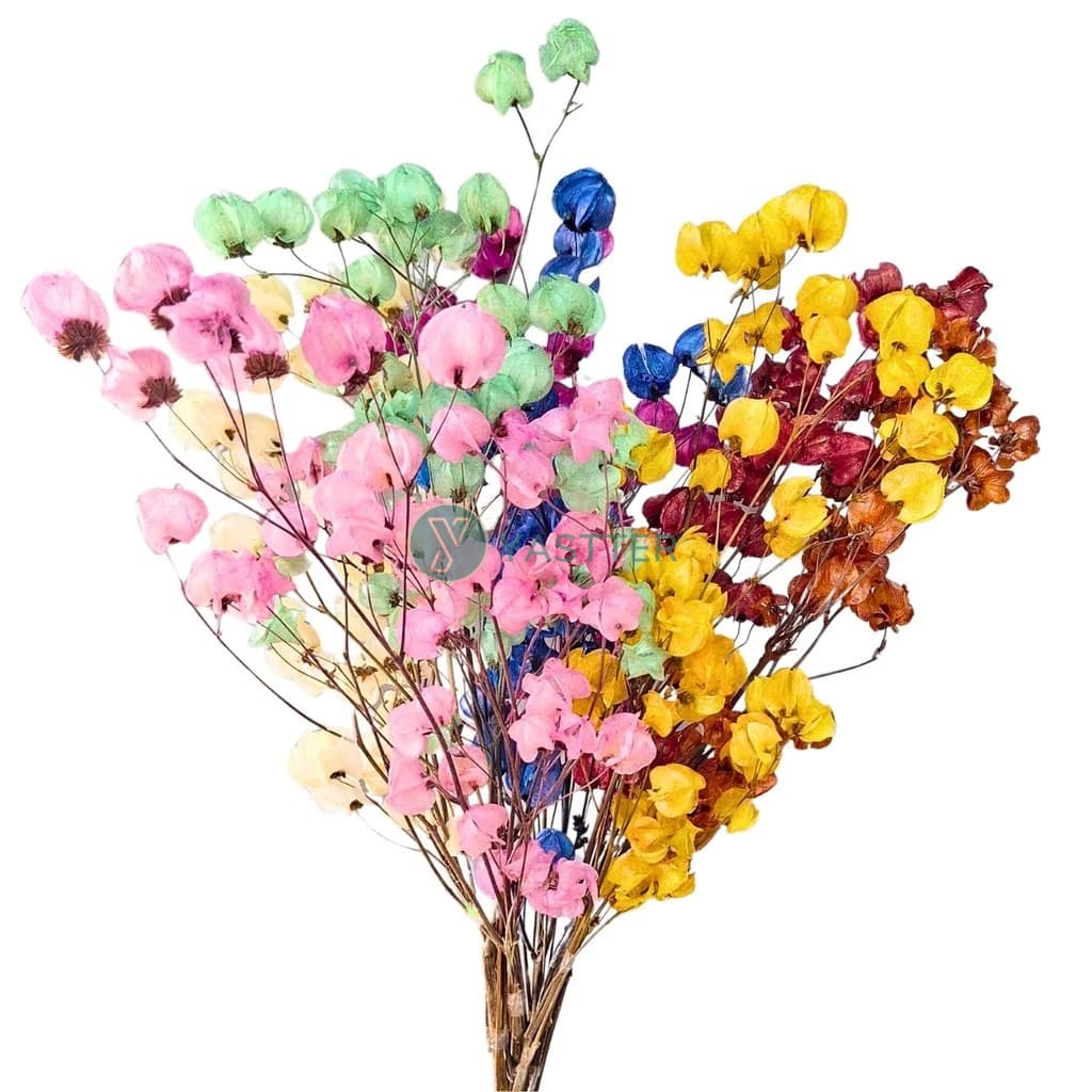 Flor Bougainville Desidratado: Buquê, Arranjos e Decoração Sala