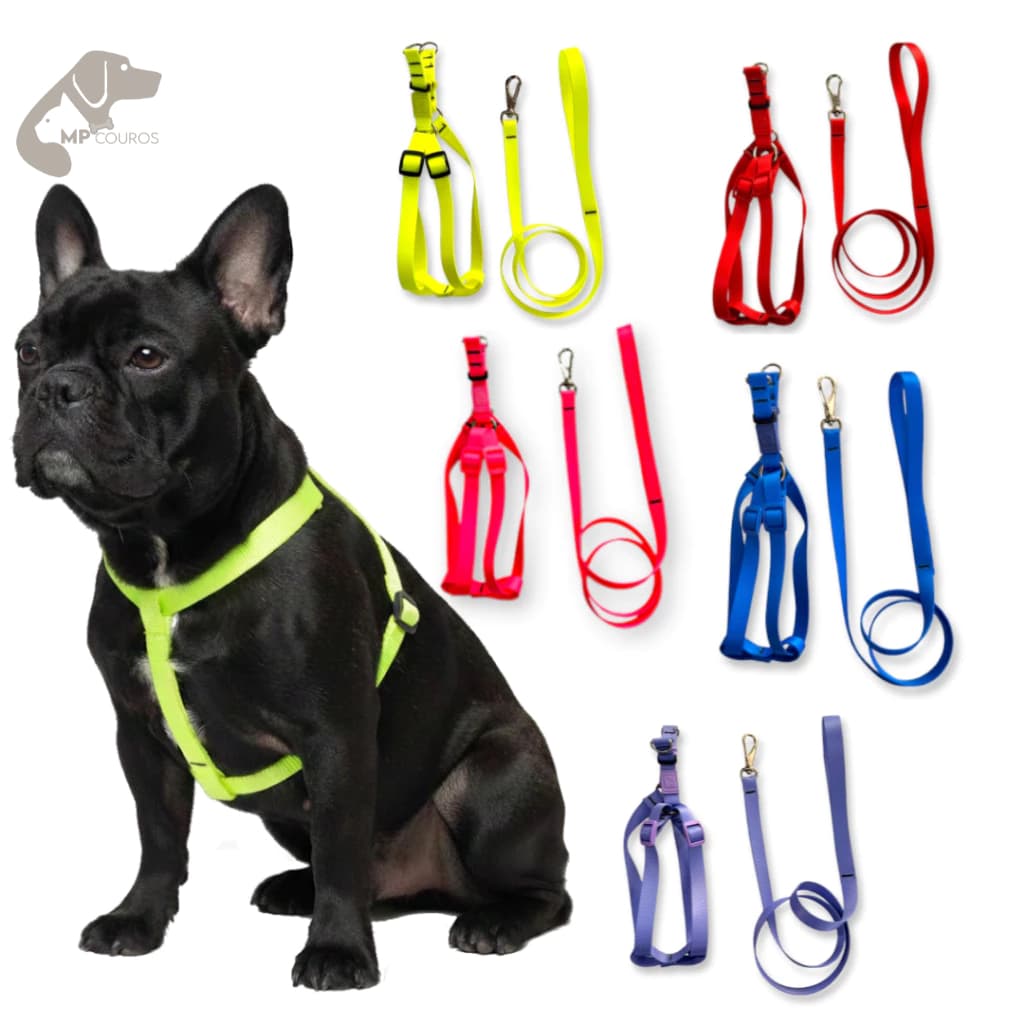 Peitoral Americano para passeio Cães Cachorro Resistente Ajustável, ReforçadoVárias Cores e Tamanhos