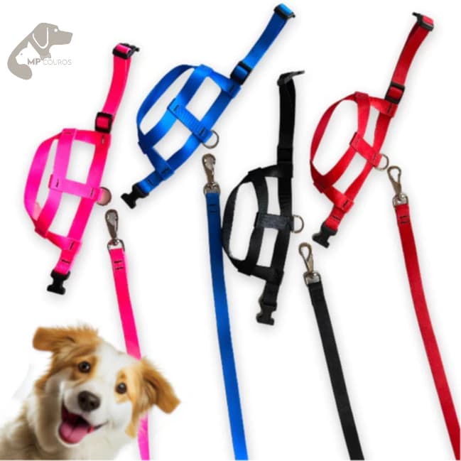 Peitoral para Cachorro Pequeno e Médio com Guia Forte e Confortável | Cores Lisas e Estampadas