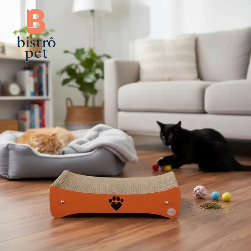 Arranhador para Gatos em ACM e Papelão Shelby - Laranja