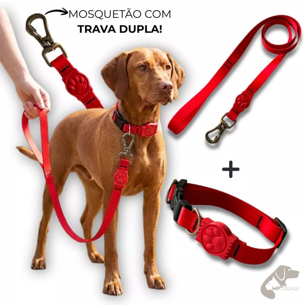 Coleira para Cachorro Ajustável com Guia Reforçada Mosquetão Trava Dupla Pet Cães
