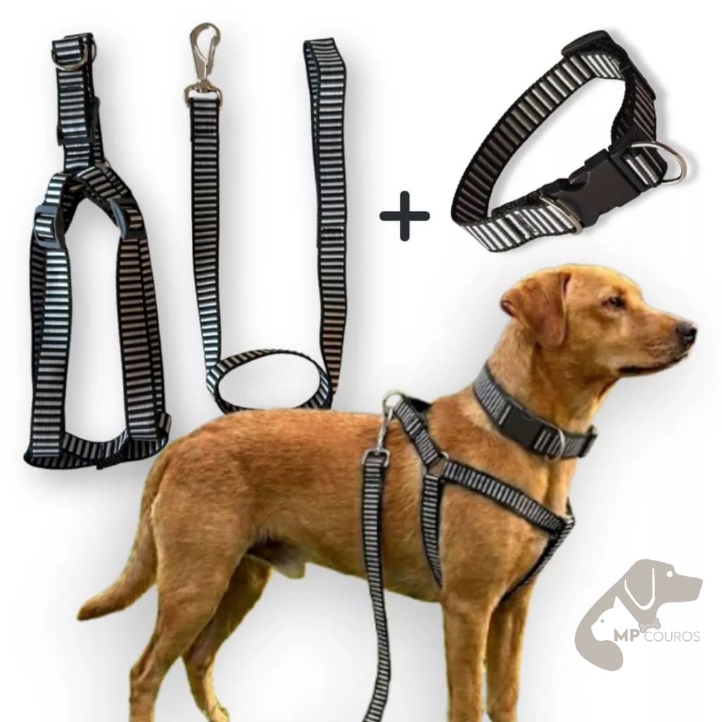 Peitoral americano para Cachorro kit com Coleira Reforçada Ajustável Super Resistente varios tamanhos