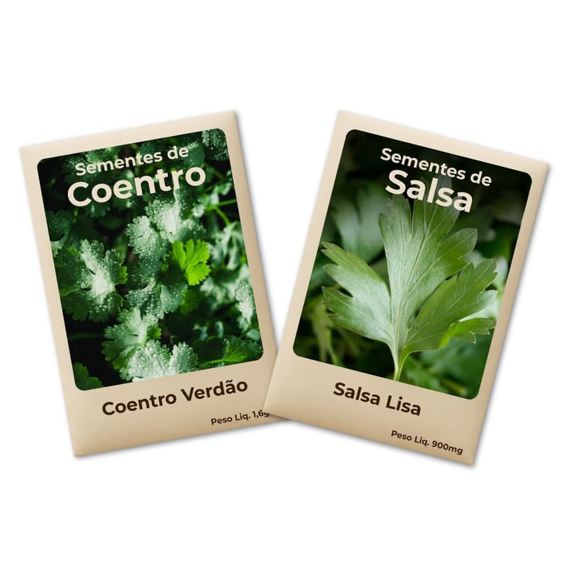 Sementes-Salsa Coentro Variedade Selecionada Cultivo Fácil e Produtivo -Combo 2 Pct