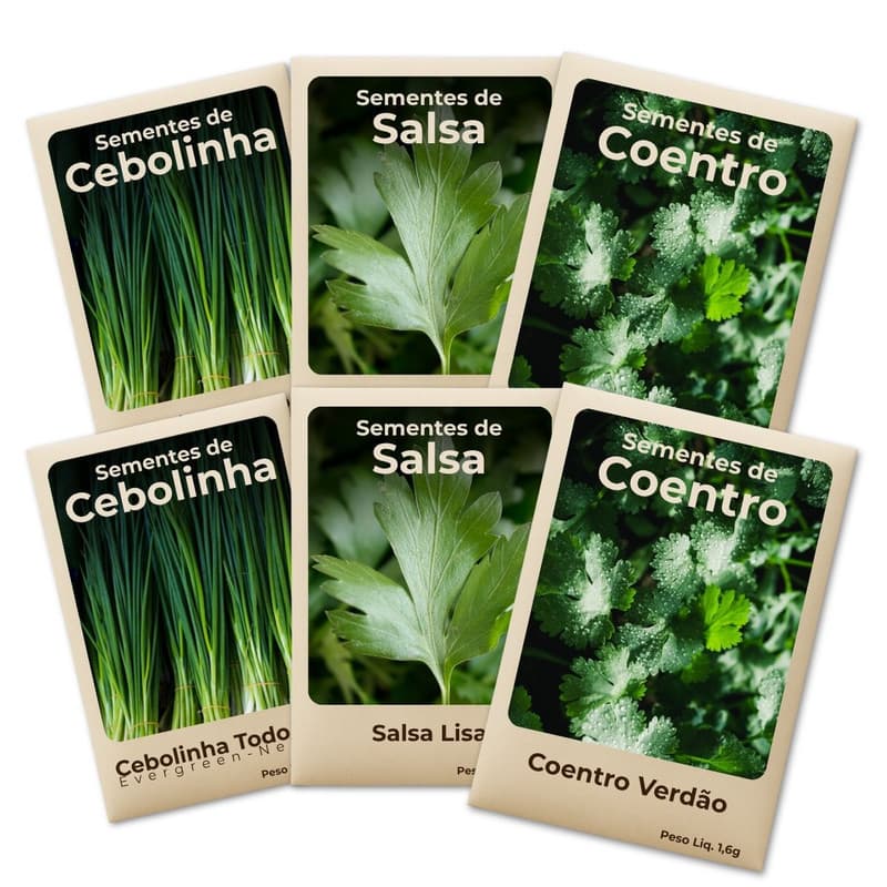 Semente Coentro Salsa Cebolinha Ideal Para Horta Cultivo Fácil e Produtivo -Leve 6 Pct