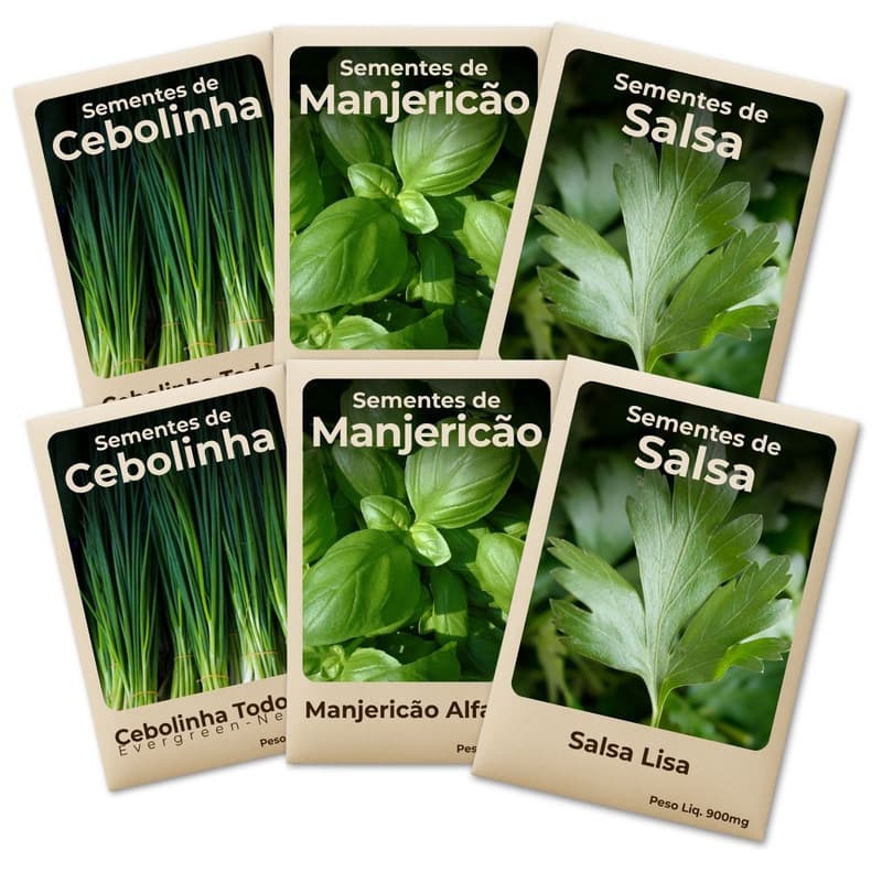Semente Salsa Manjericão Cebolinha Ideal Para Horta Cultivo Fácil e Produtivo -Leve 6 Pct