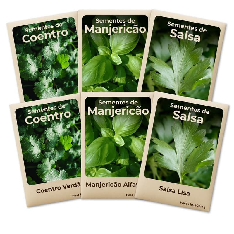 Semente Salsa Coentro Manjericão Ideal Para Horta Cultivo Fácil e Produtivo -Leve 6 Pct