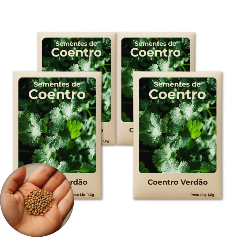 Comprar Semente De Coentro Verdão Ideal Para Quem Quer Cultivar Temperos Frescos - Leve 4 Pct