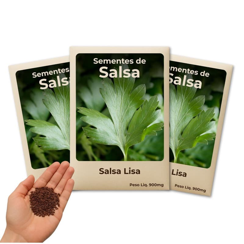 Semente de Salsa Lisa Para Horta Caseira com Pouco Espaço - Combo 3 Pacotes
