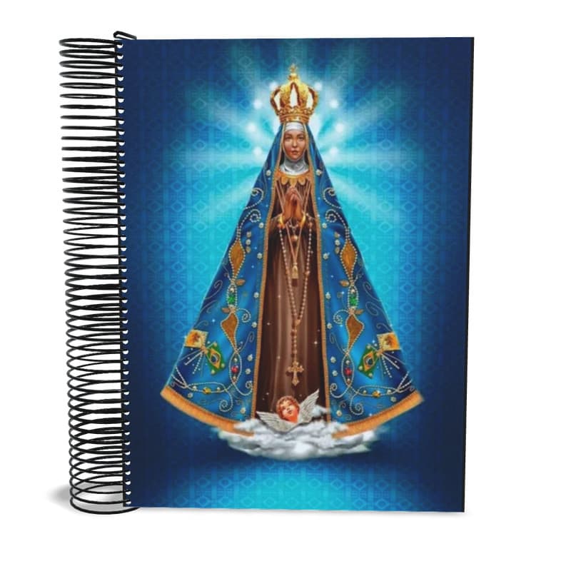 Caderno Nossa Senhora Aparecida 1 matéria 96 Fls universitário AB