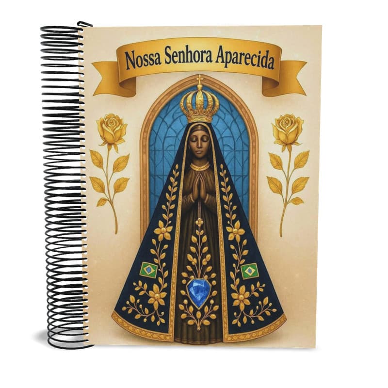 Caderno Nossa Senhora Aparecida 1 matéria 96 Fls universitário