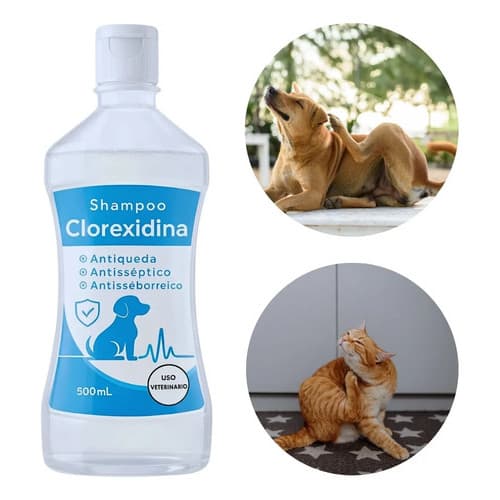 Shampoo Clorexidina Pet Para Dermatite Seborreica Canina Anti Coceira