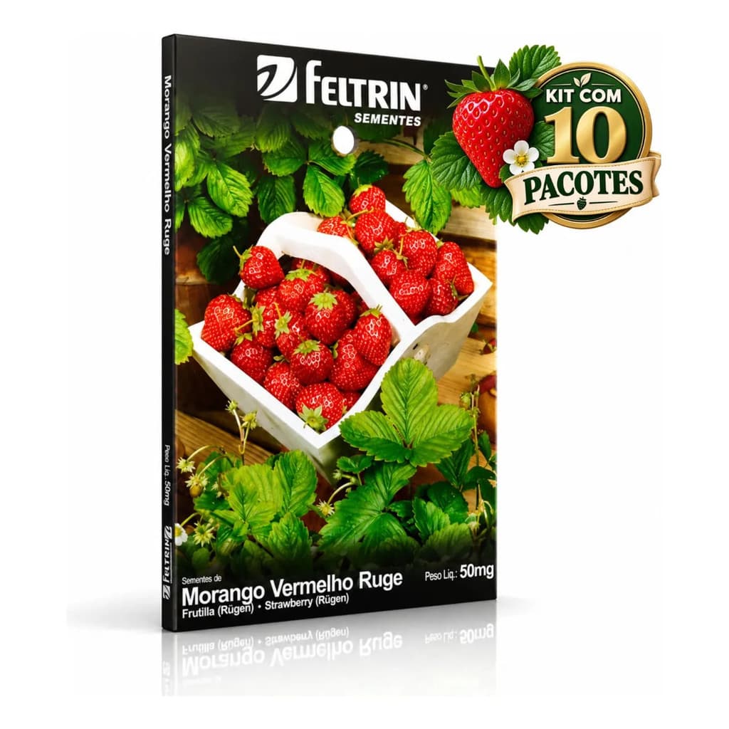 Kit 10 Sementes de Morango Vermelho Ruge Para Germinação Plantar em Casa Vaso Horta e Pequenos Espaços