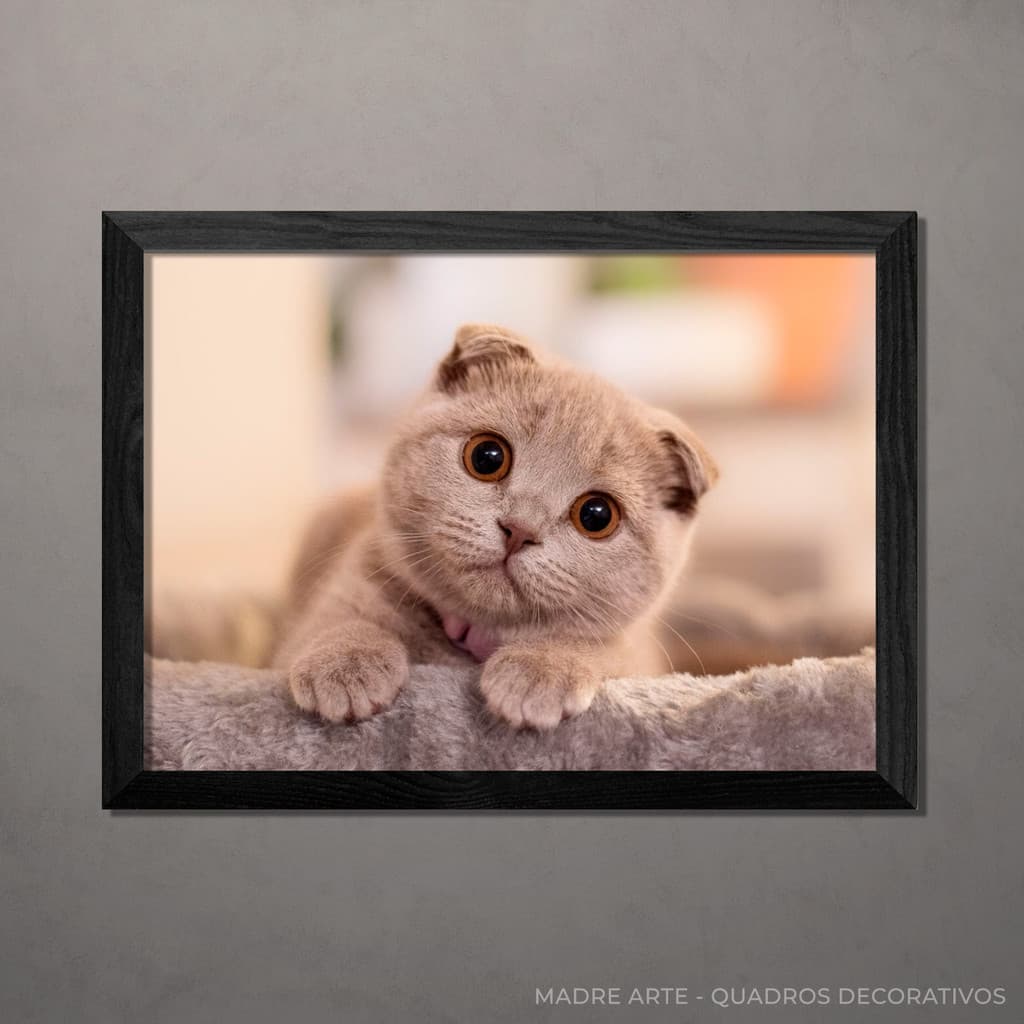 Quadro Decorativo Cat A4 Com Vidro