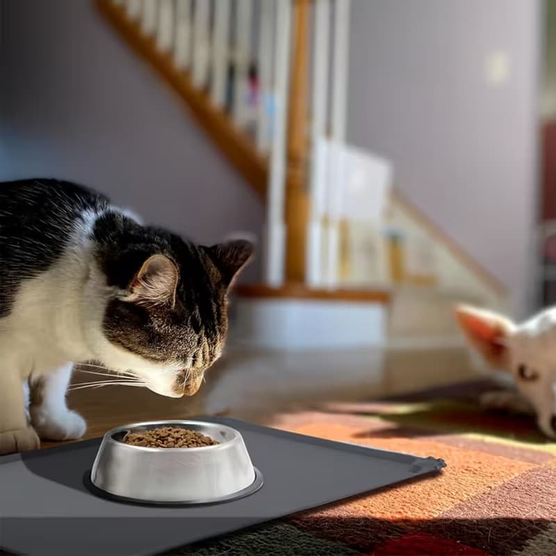 Adequado para almofadas de Silicone para cães e gatos, tigelas antiaderentes, alimentadores para animais de estimação e