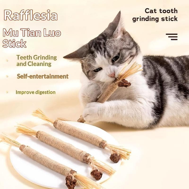 Bastão Mordedor Gatos Natural Brinquedo Matatabi Cheiro Atrativo Avaliação da loja - Variação: