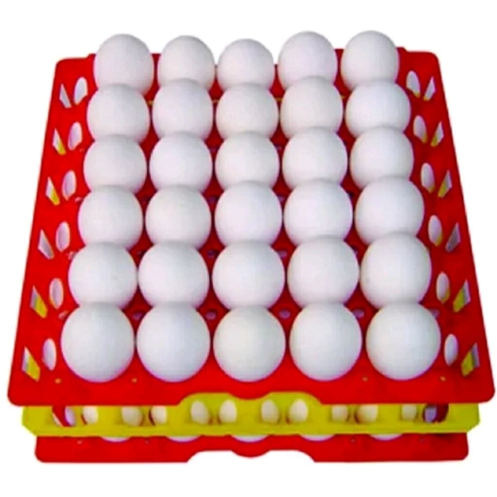 Cartela plástica coloridas para ovos de galinha kit 5 unidades