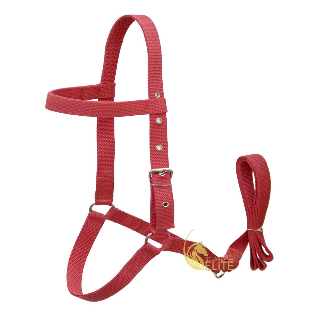 Cabresto Nylon Fita Para Cavalo Resistente Com Regulagem