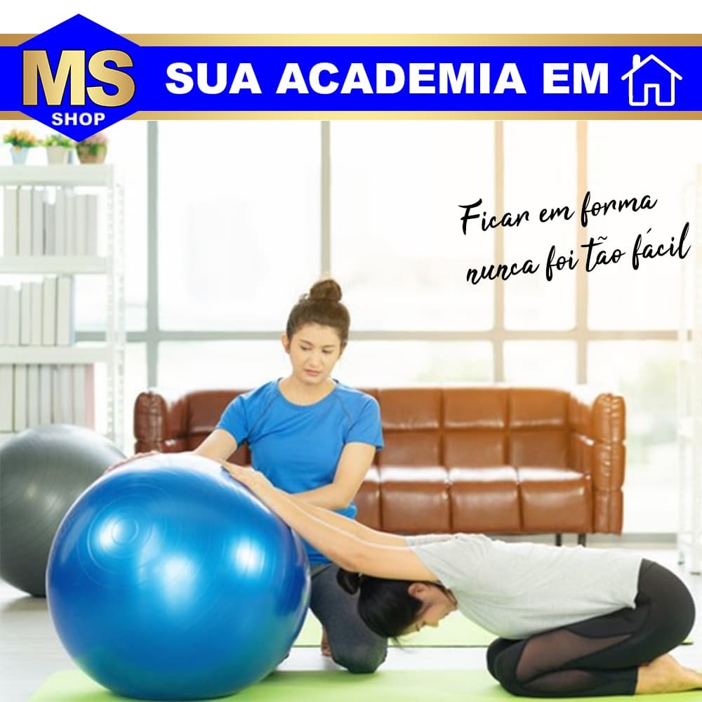 Bola de Ginástica Suíça Yoga Pilates 65cm Bola de Pilates Inflável Anti Estouro PRATA + Bomba