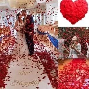 200 Pétalas De Rosas Artificiais Vermelho Festa Casamento FMY