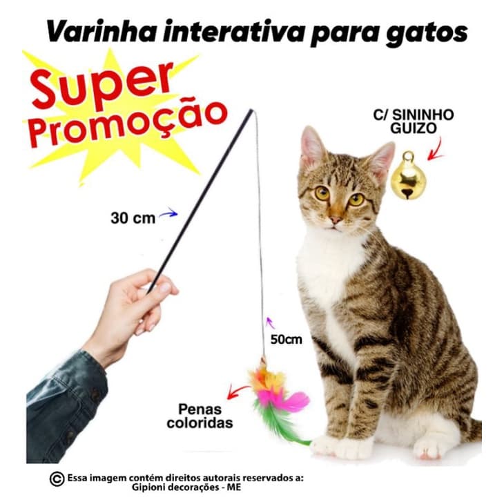 Brinquedo Para Gato Varinha cat fishing 30cm E Com Penas coloridas e Guizo