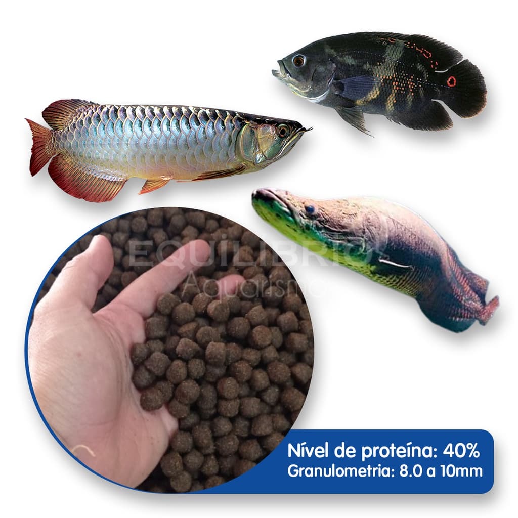 Ração P/ Peixes Carnívoros Pirarucu, Aruana E Outros (10mm) - 500g