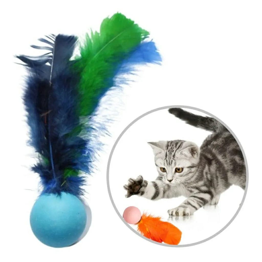 Bola Para Gatos Brinquedo Bola Ping Pong Para Gatos Cães Pet