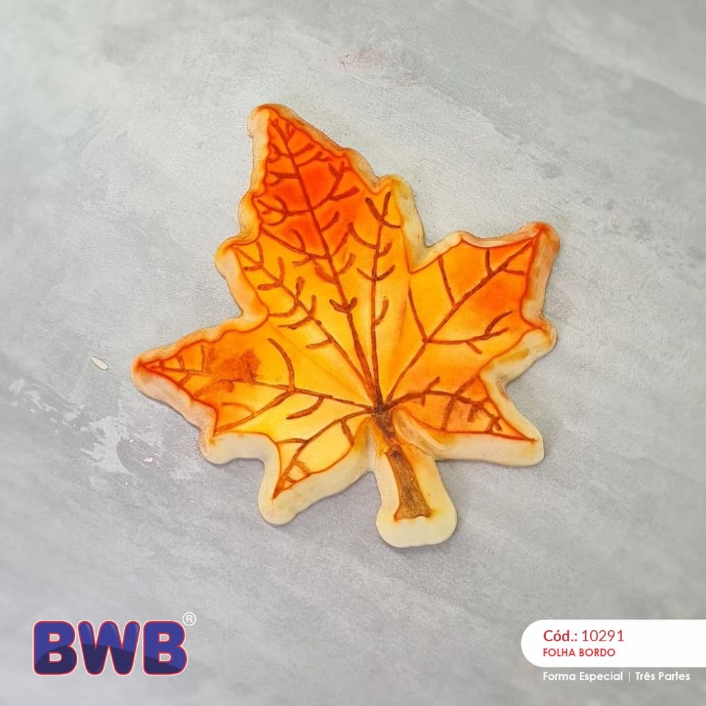 FORMA FOLHA DE BORDO CANADA BWB TRES PARTES