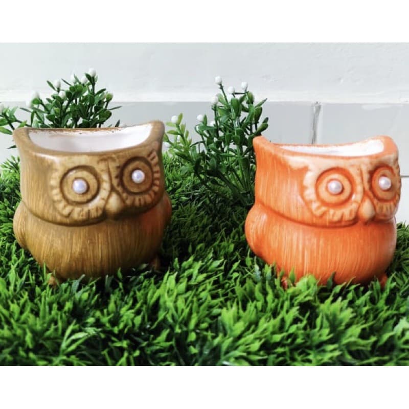 🦉 Vasinhos de Coruja / Cachepô Corujinha com olho de pérola / jardinagem Casa Jardim Decoração planta suculenta flores