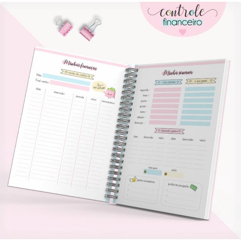 Caderno de Controle Financeiro