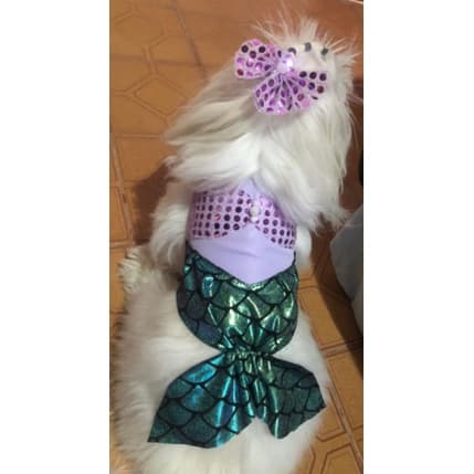 fantasias pet. vestido pet temático. pequena sereia. roupa pet para cachorro e gato. laços pet