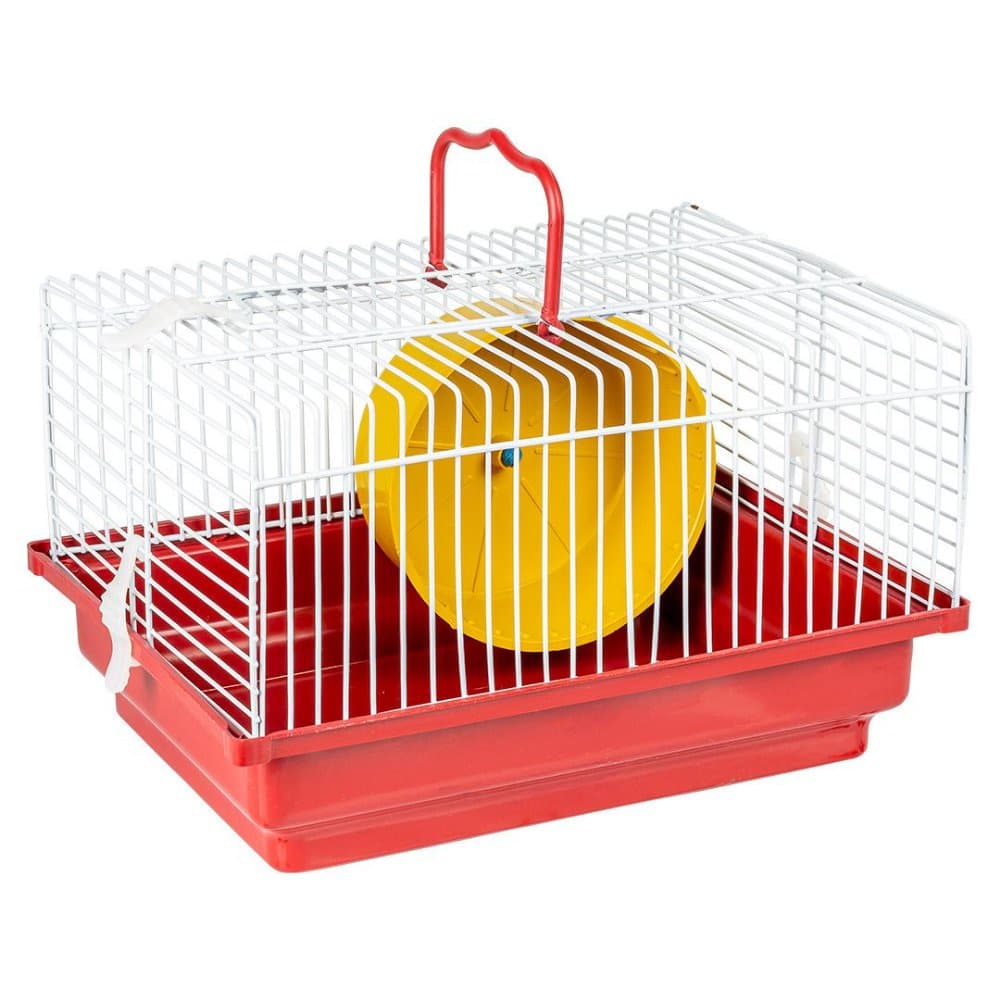 Gaiola Hamster Básica Roedores Rodinha brinquedo Transporte Jel Plast
