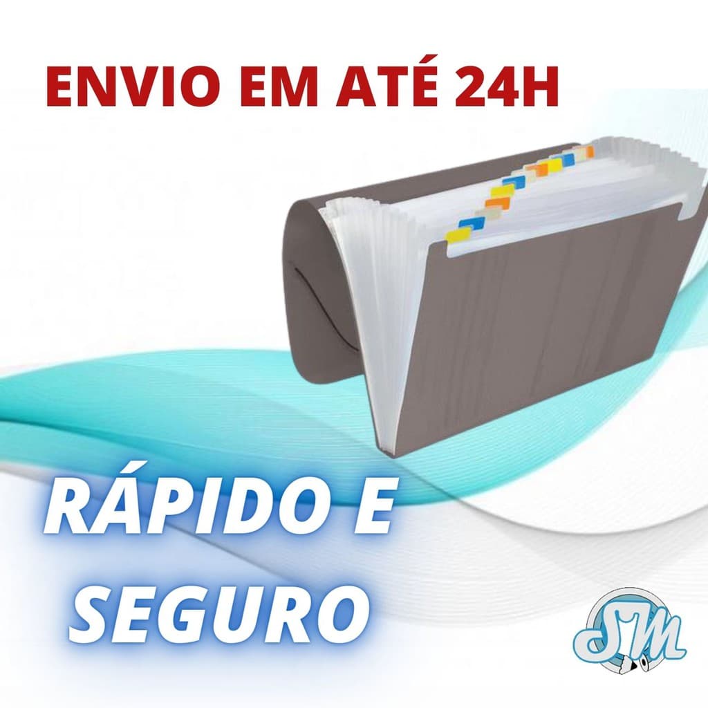 Pasta Sanfonada 31 Divisorias A4 Cor Fume Para Se Organizar Documentos De Escritorio/casa Envio Em 24 Horas
