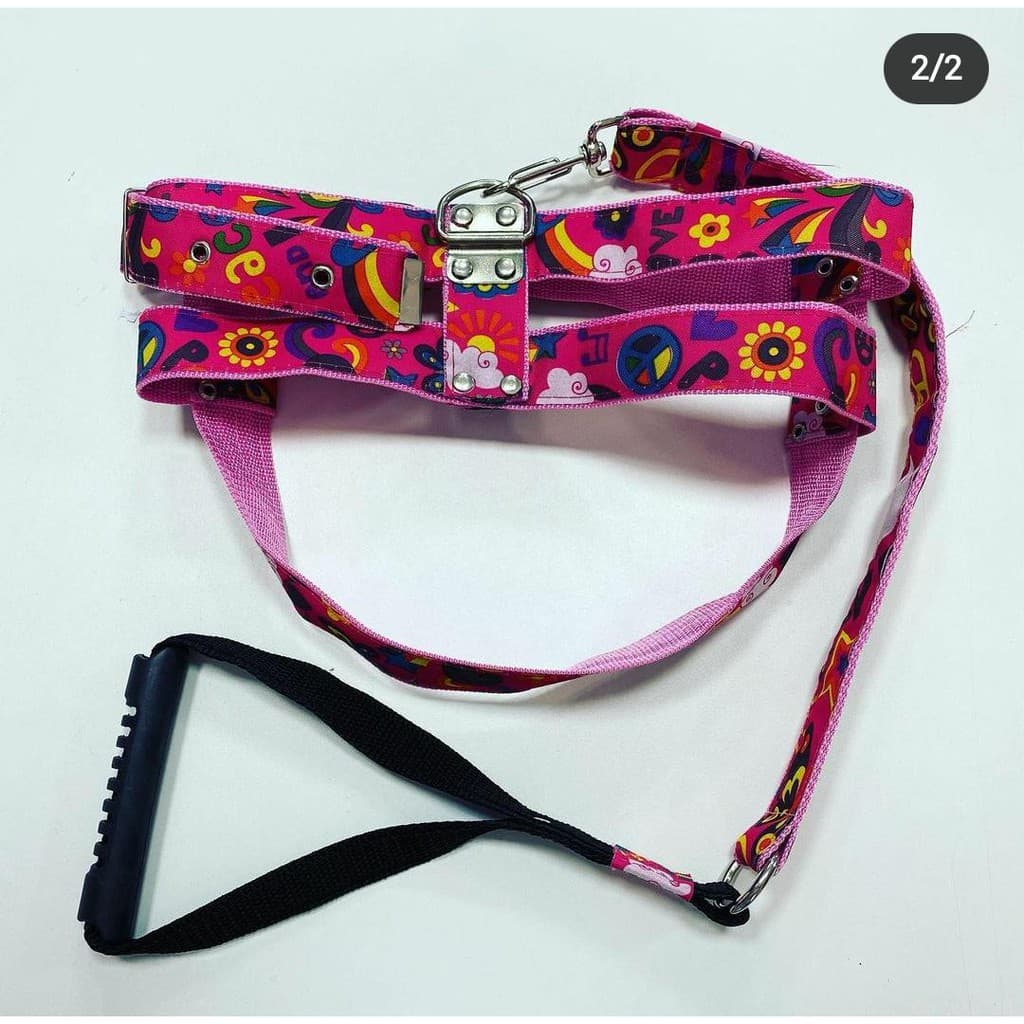 Peitoral Cachorro + Guia para cachorro grande porte