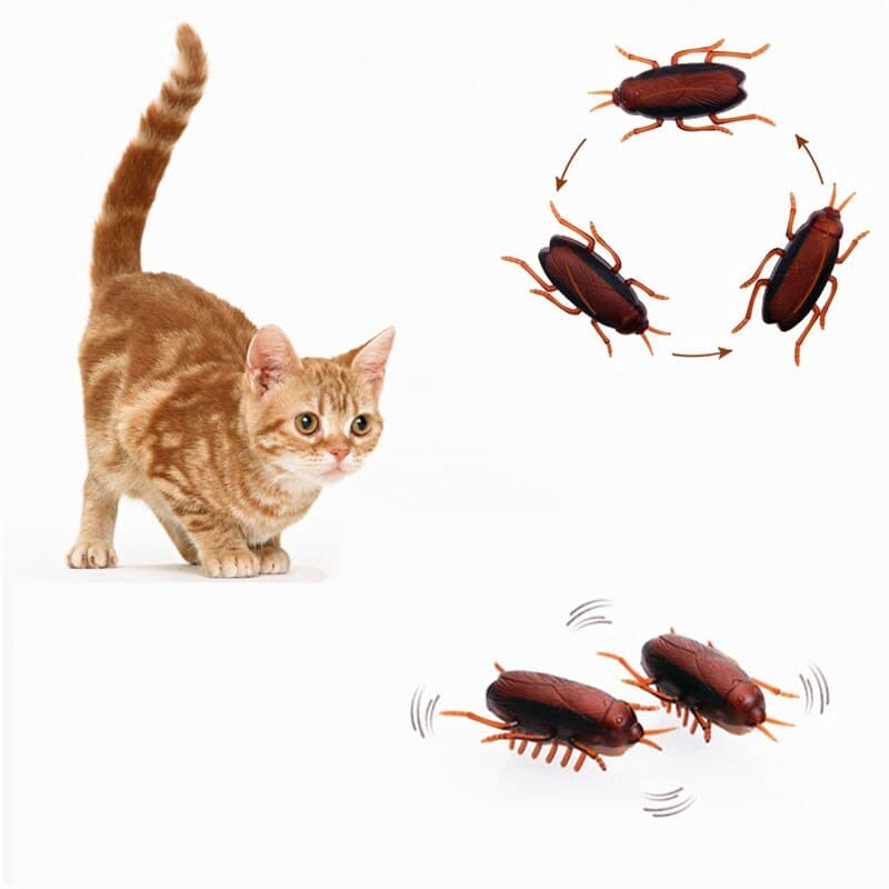 Barata Eletrônica Cão Gato Jogando Brinquedo Alimentado Por Bateria Correndo Inseto Pet Brinquedos Interativos