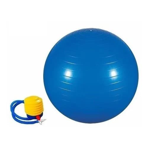 Bola Suica 65 cm Pilates Fisioterapia Yoga Exercicios com Bomba