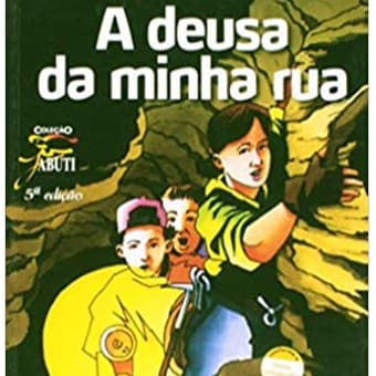 Livro - A Deusa da Minha Rua