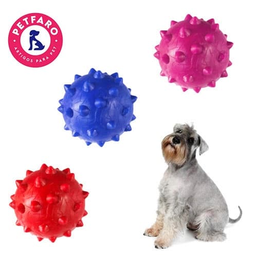 Brinquedo Bolinha Mamona Maciça para Cachorro de Pequeno a Médio Porte - Bolinha Pet Dura 55 mm