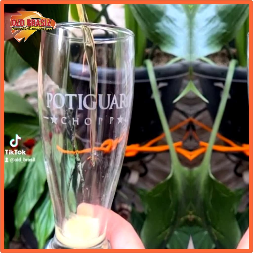 Tulipa de Chopp 300ml - POTIGUAR CHOPP