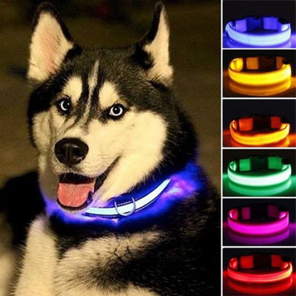Nylon LED Pet , Night Segurança Piscando Na Trela Do Cão Escuro , Cães Com Coleiras Fluorescentes Luminosas Suprimentos